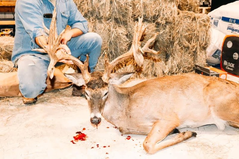 Acadian Whitetails & Exotics - Photo 6