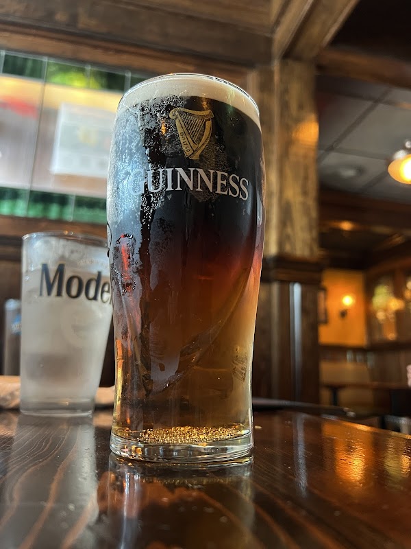 Madra Rua Irish Pub photo 3