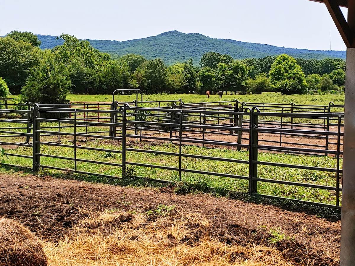 Victory Alliance Ranch