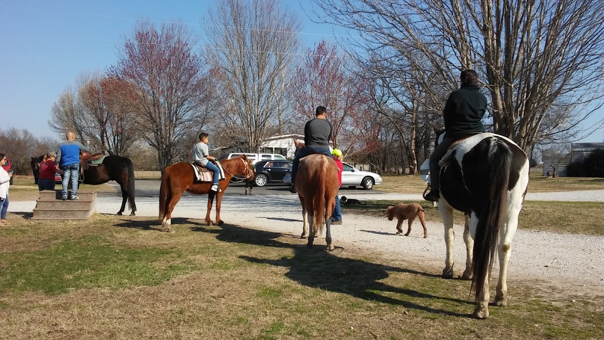 Royal Horse Ranch