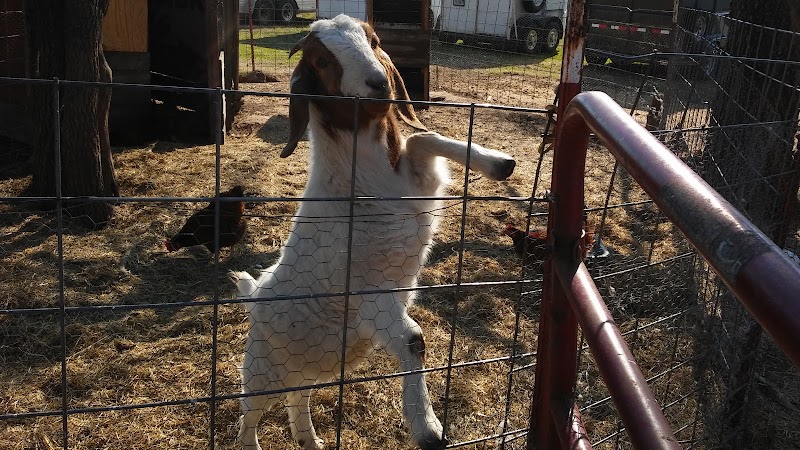 Royal Horse Ranch - Photo 3