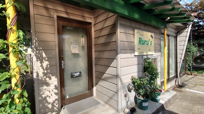 昆虫専門店 Ruru’s