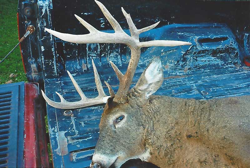 Ten Point Lodge, LLC - Photo 3