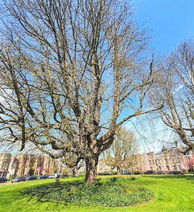 Foto van Verhuisbedrijfbreda