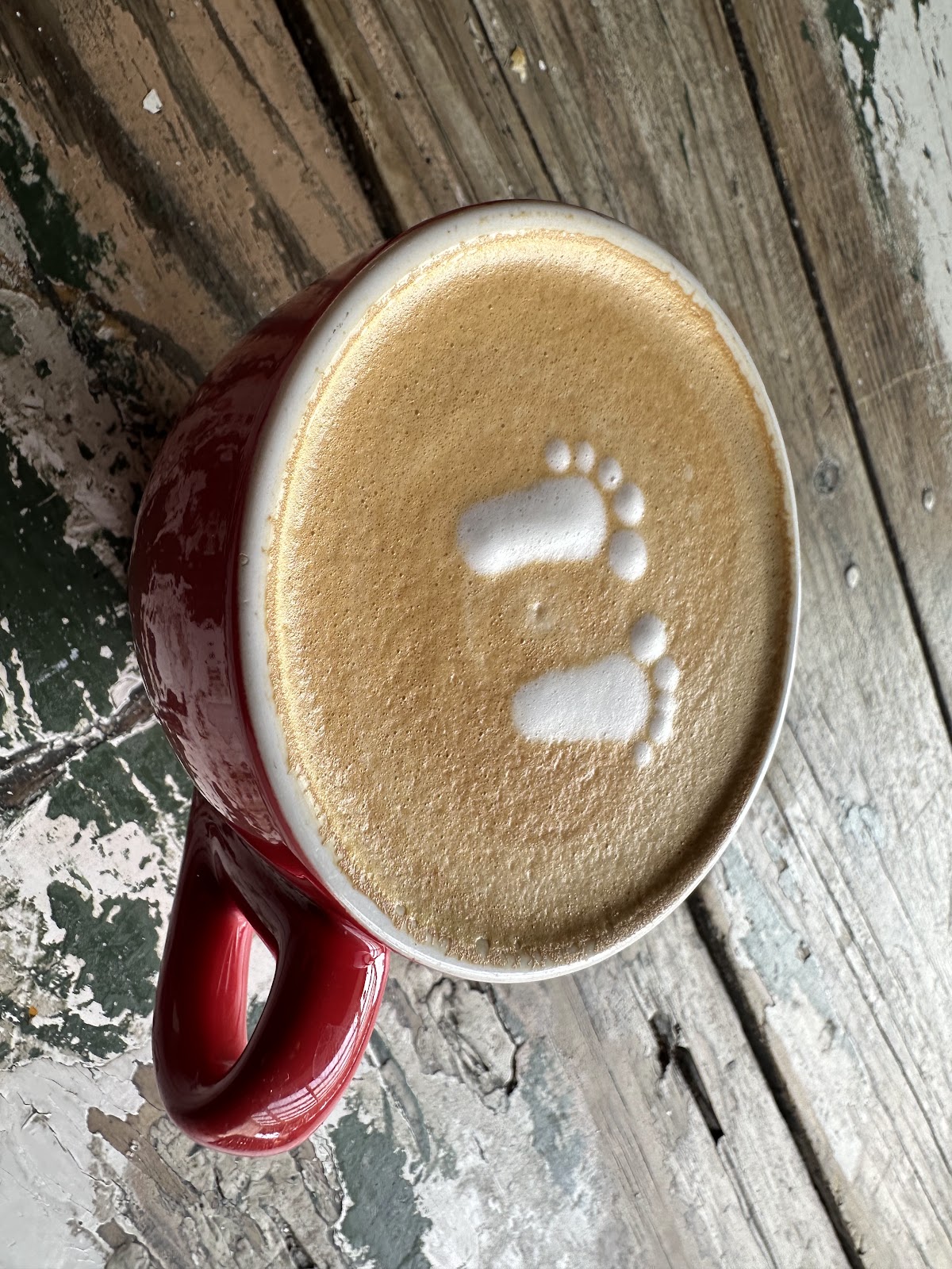La cafétéria plett — photo 3
