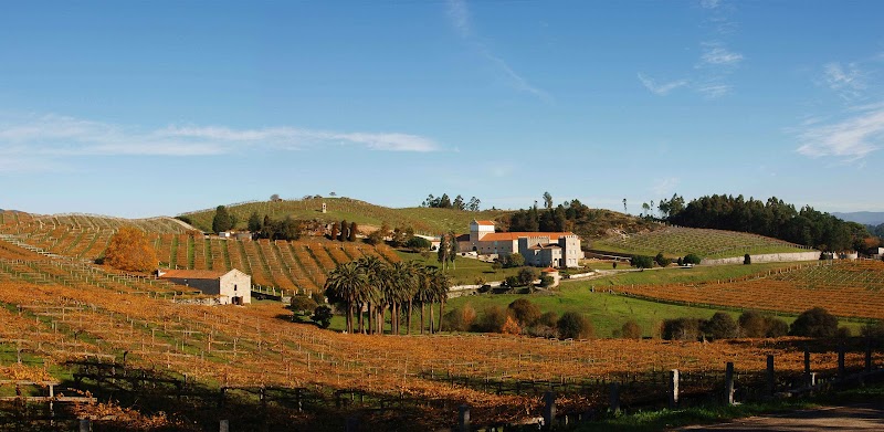 Bodega Pazo Baion_ Enoturismo Rías Baixas photo 3