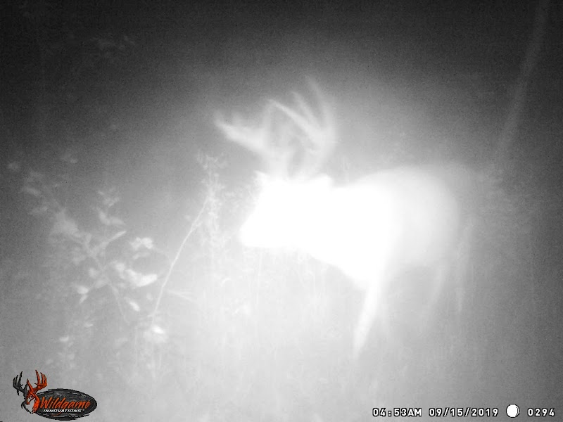 Open Trails Trophy Whitetails - Photo 5