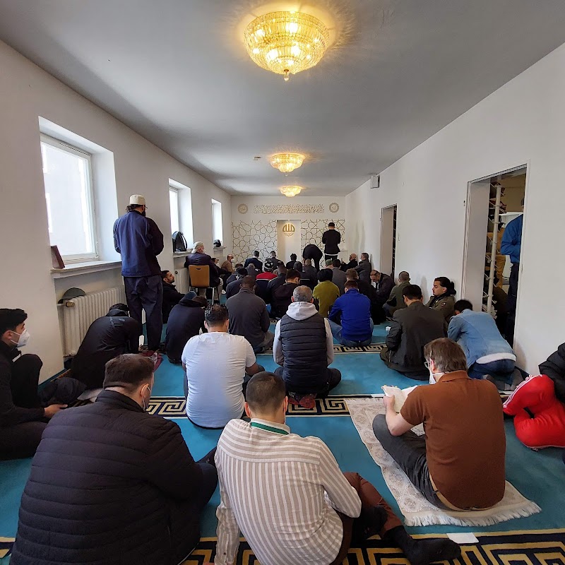 Münchner Forum für Islam e.V. photo 4