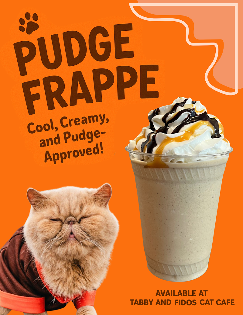 Tabby & Fidos Cat Cafe photo 2