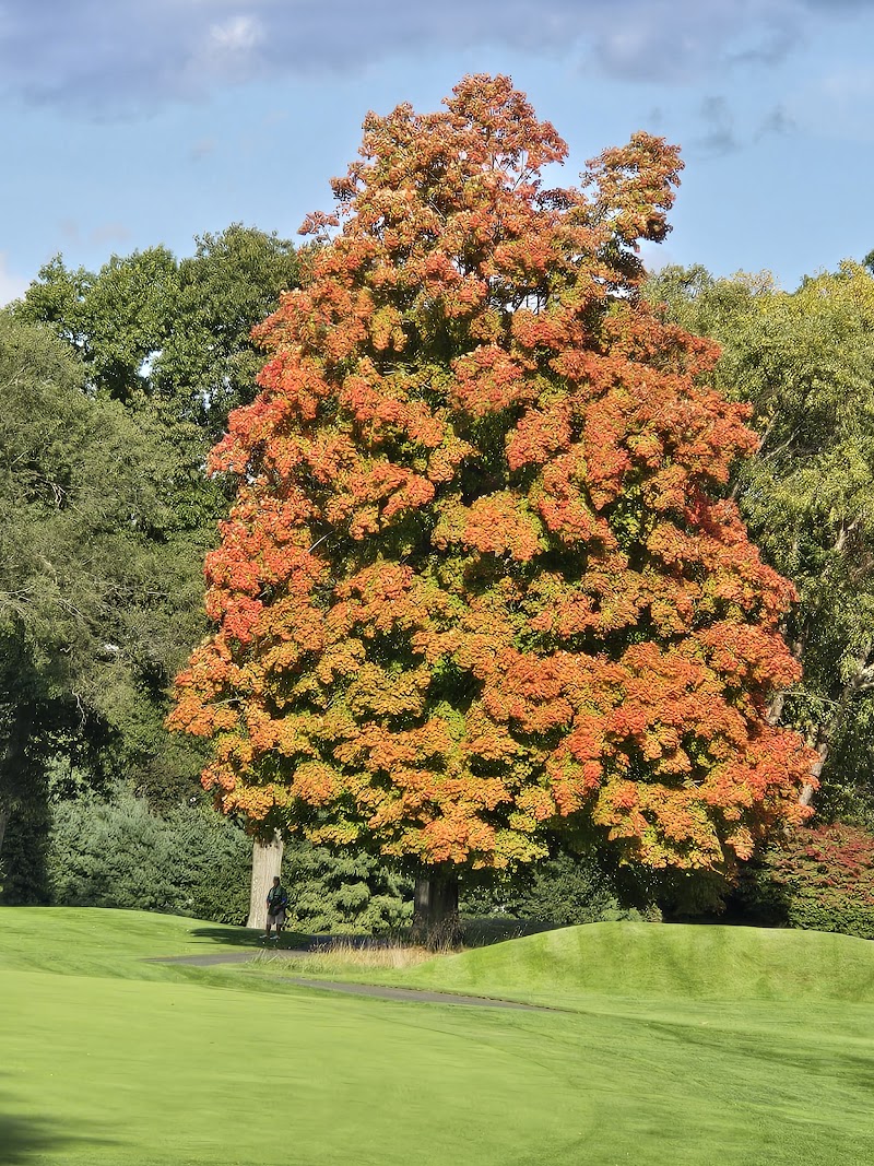 Wykagyl Country Club photo 3