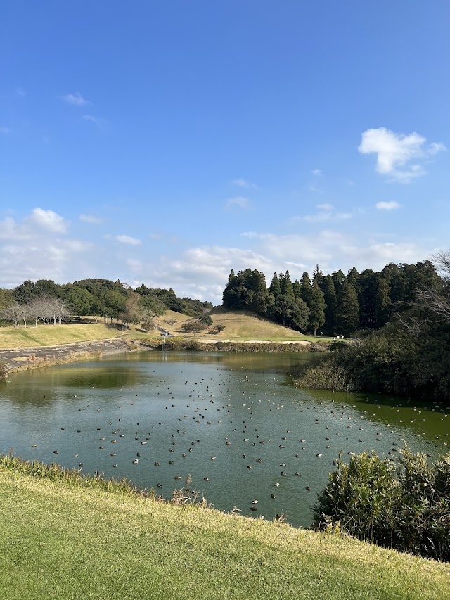 Chiba Sakura no Sato Golf Club - Photo 4