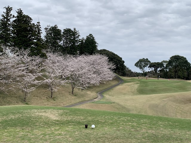 Chiba Sakura no Sato Golf Club - Photo 7