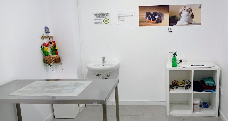 Exopet Clínica veterinaria