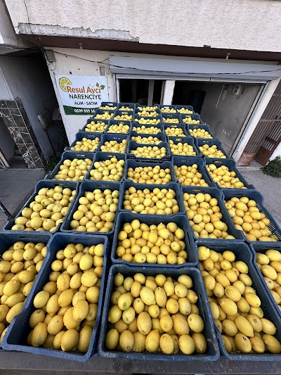 Resul Avcı Narenciye - Nakliyat
