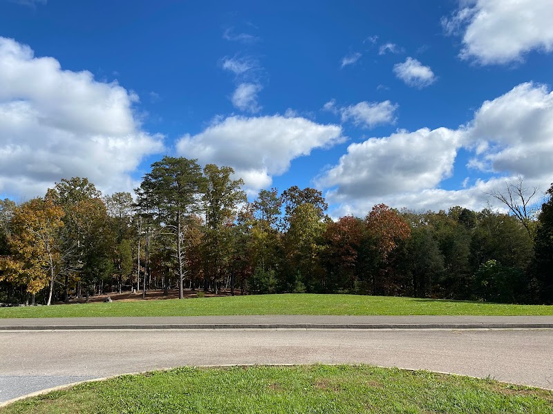 Kiwanis Disc Golf Course photo 4