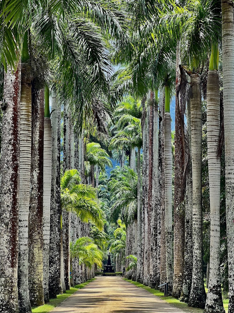 Ботанический сад