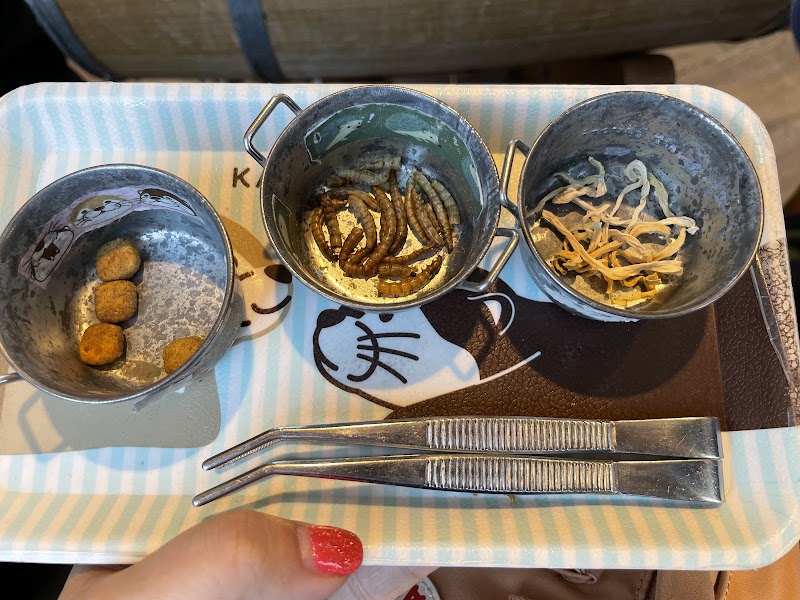 HARRY HARAJUKU terrace otter cafe photo 7