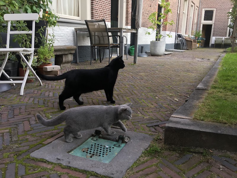 Tevelingshofje
