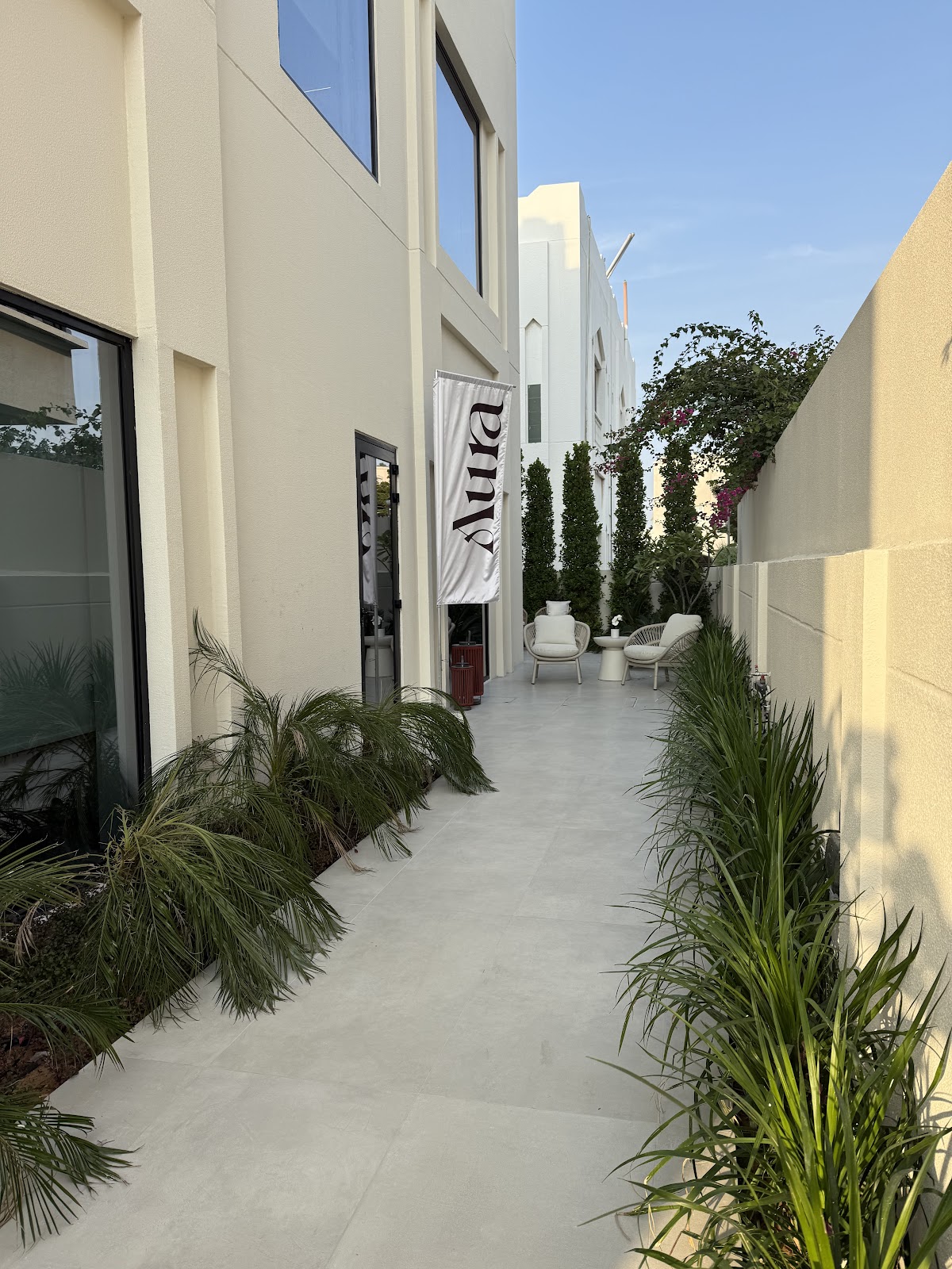 Aura Clinic