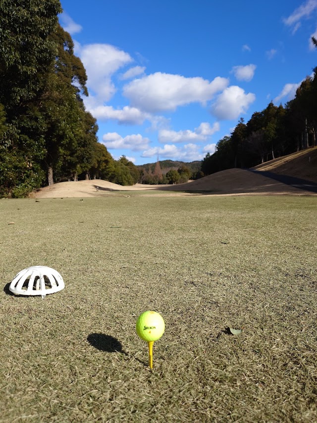 Pine Flat Golf Club - Photo 6