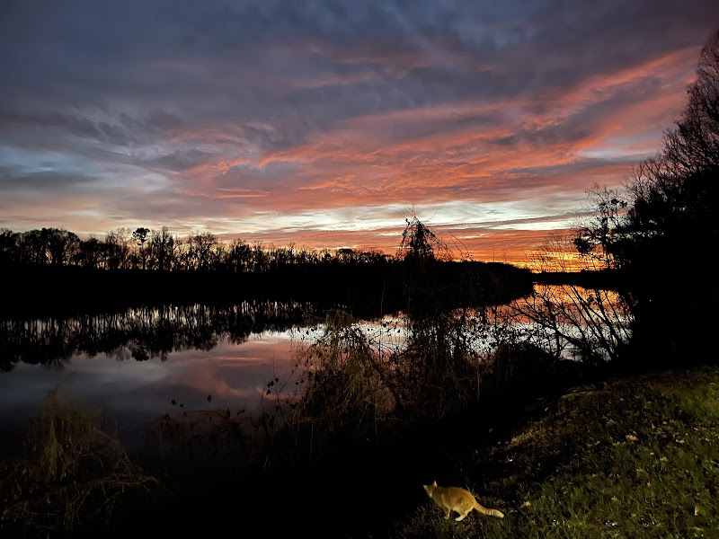 Blackwell Bend Hunting Lodge - Photo 3
