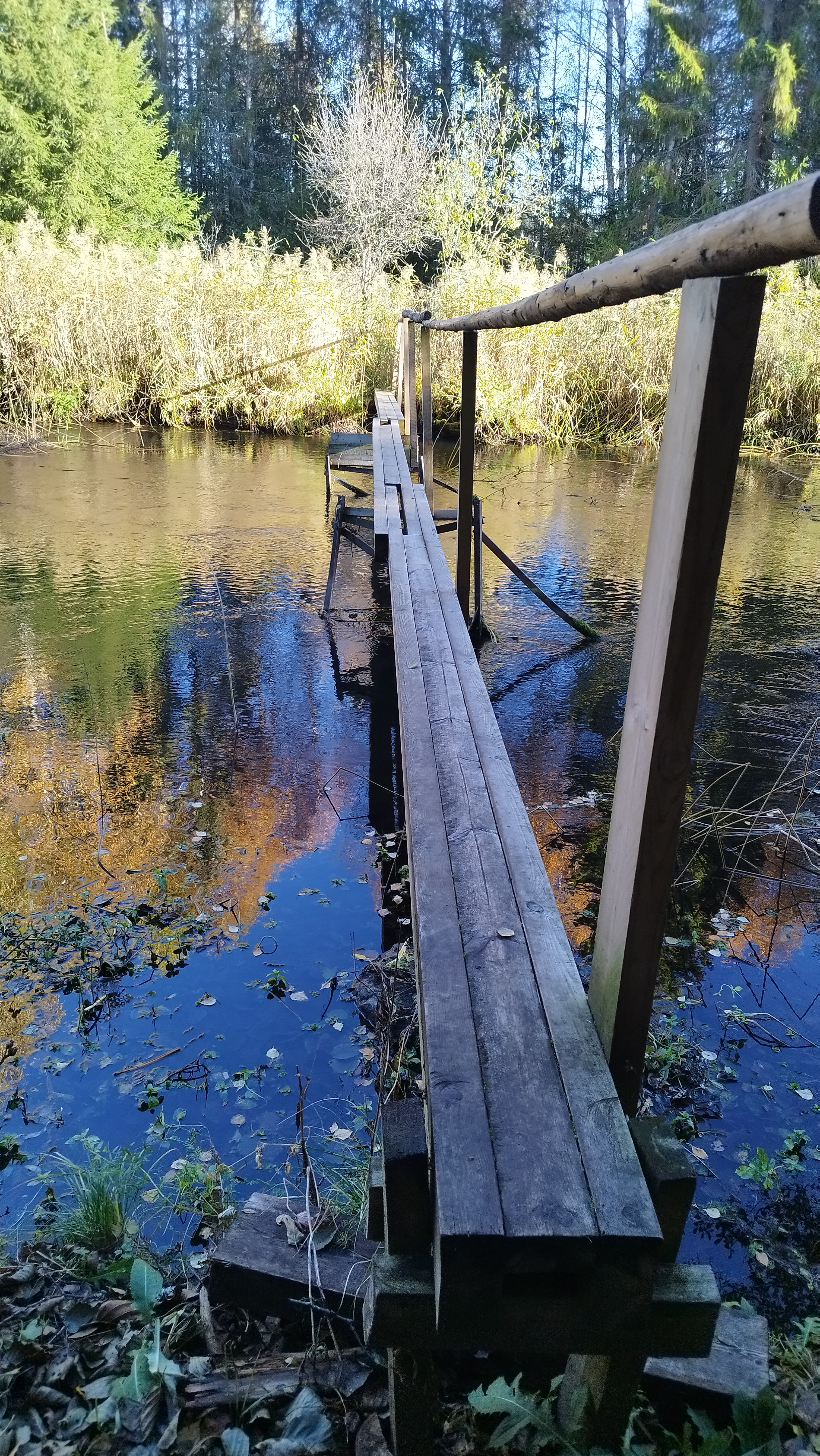 RMK Kirikumäe lõkkekoht