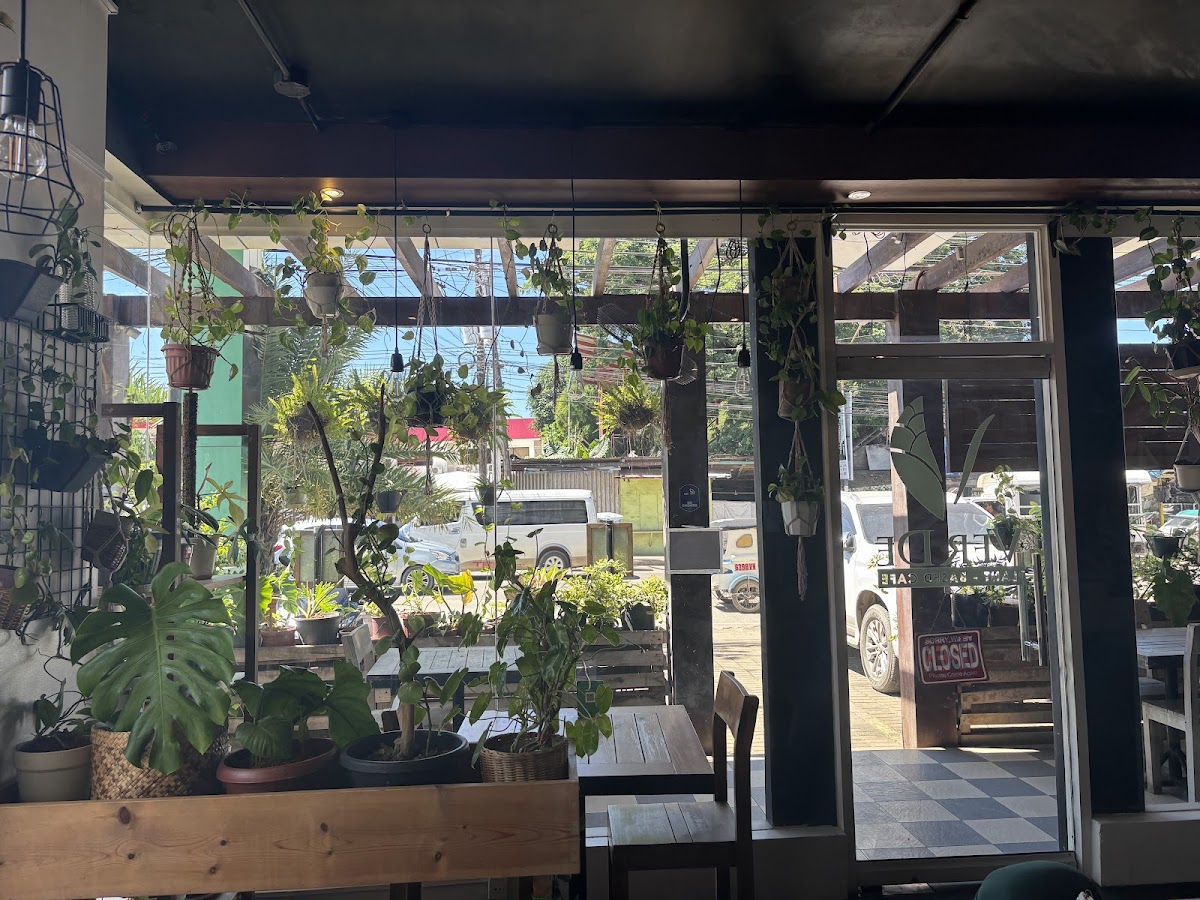 Ver De Puerto Princesa in palawan