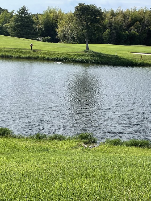 Hamada Golf Links - Photo 1