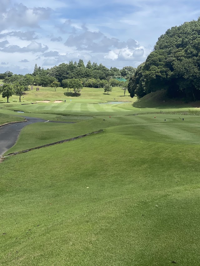 Central Golf Club NEW Course - Photo 7