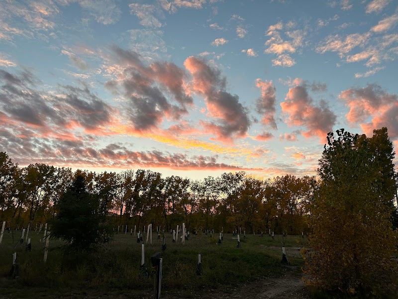 Riverfront Disc Golf Course photo 4