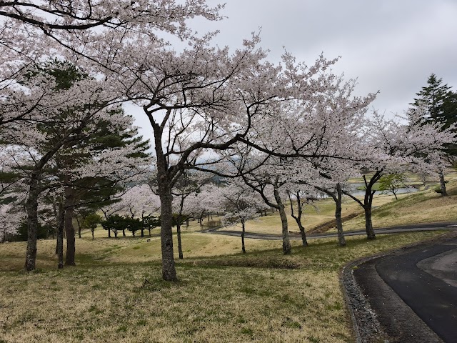 New Karumai Country Club - Photo 7