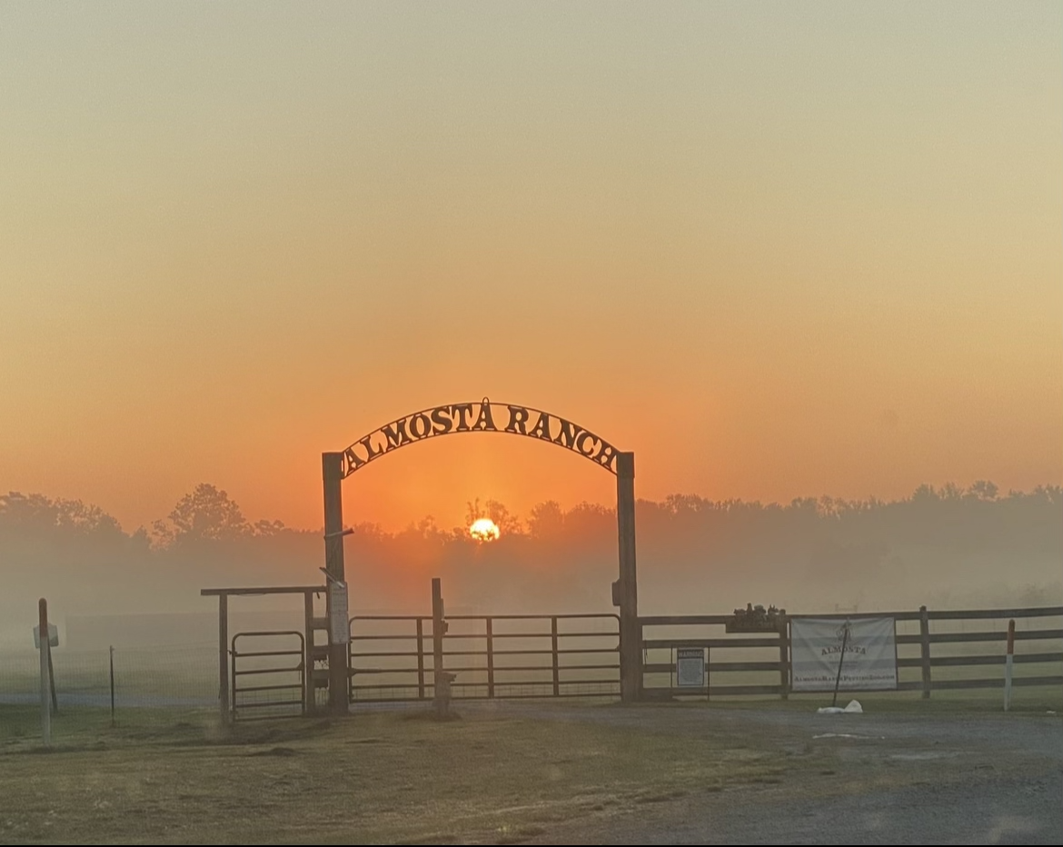 Almosta Ranch LLC