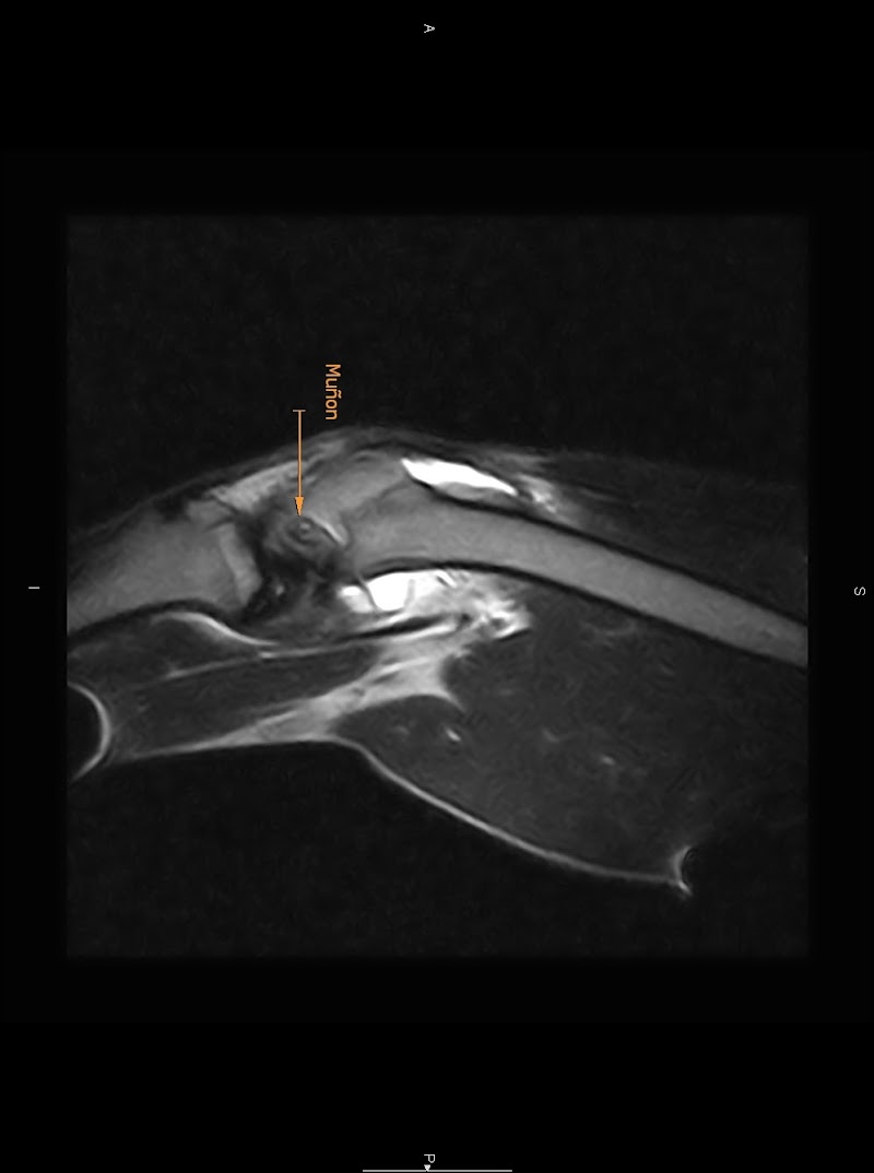 Instituto Médico Veterinario de Álava - IMVA