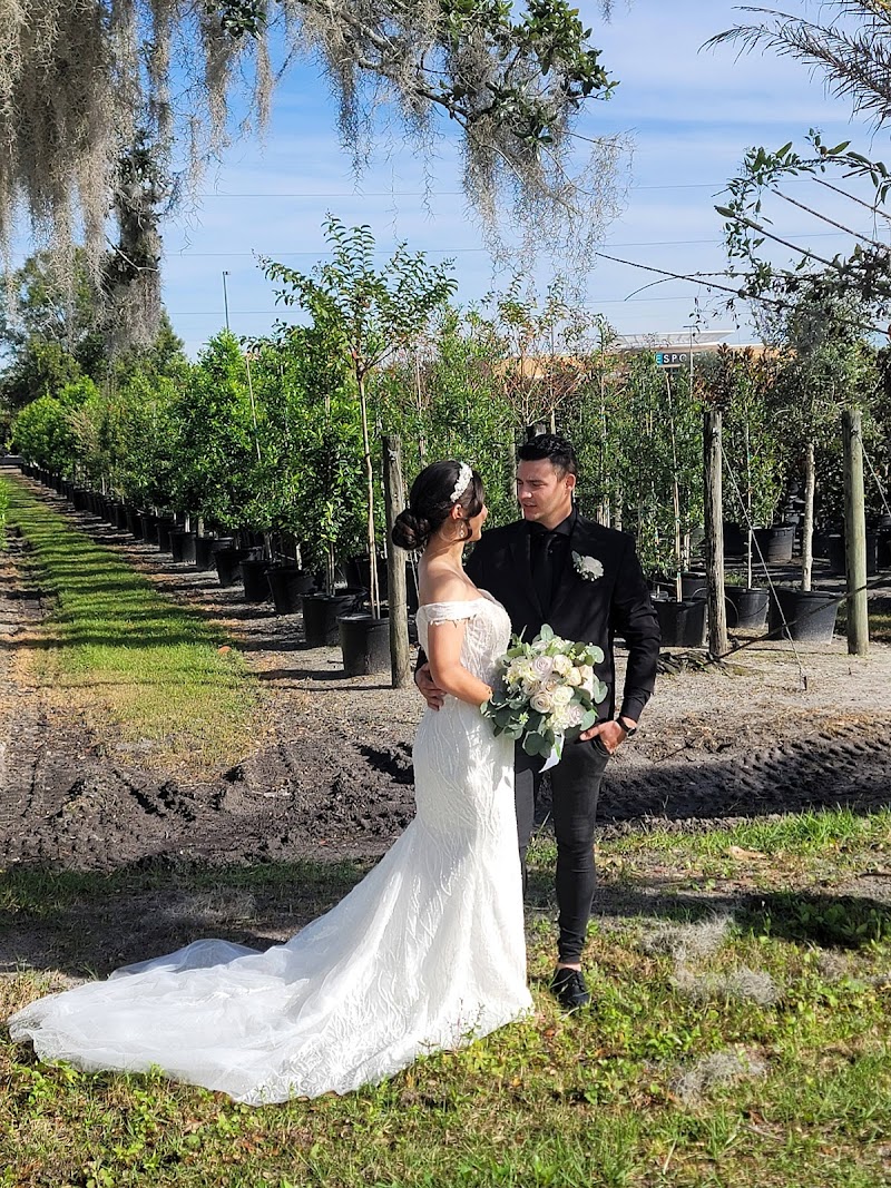 D'Space Orlando photo 7