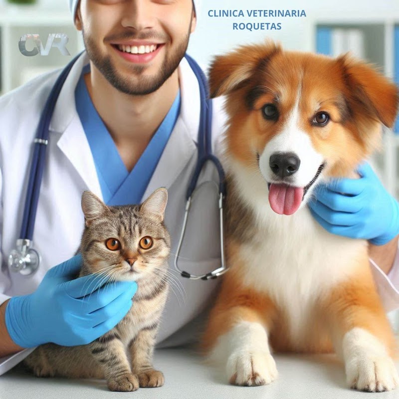 Clínica Veterinaria Roquetas