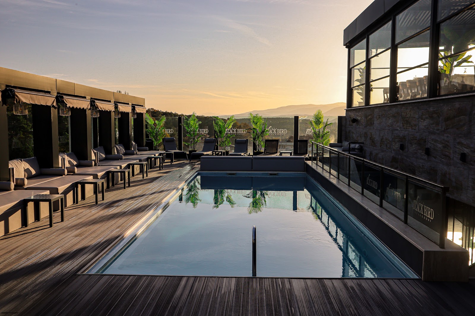 Black Bird Thermal & Spa Yalova Hotel mekanı