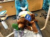 Destination Smiles-Pediatric Dentistry and Orthodontics
