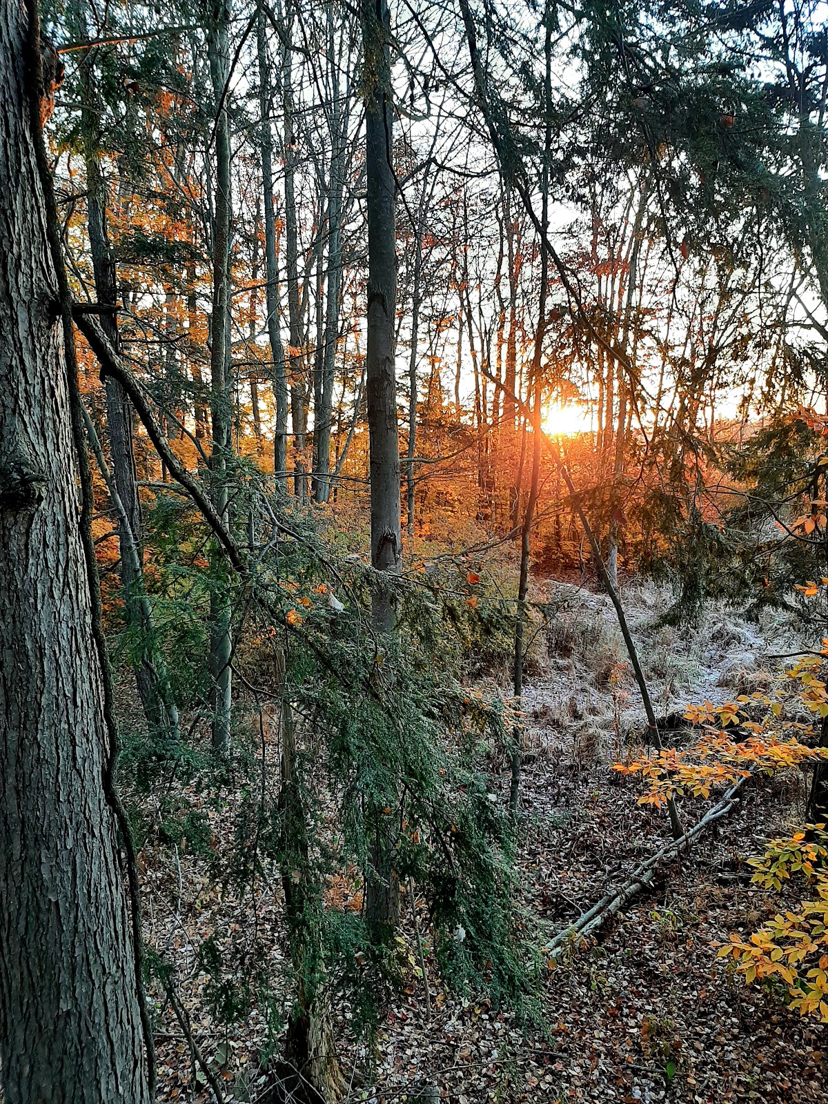 Stuyvesant Outdoor Adventures