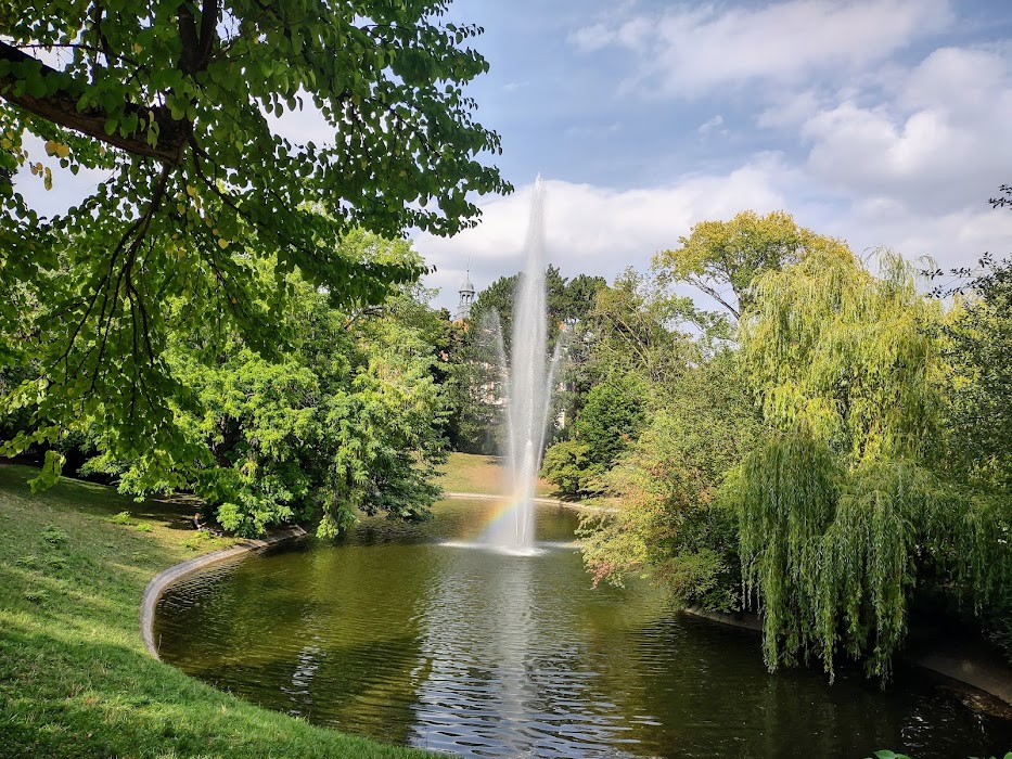 Türkenschanzpark fotoğraf 1