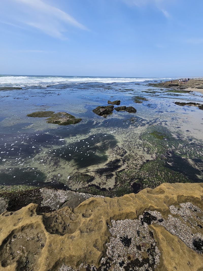 Ocean Beach Tide Pools in San Diego