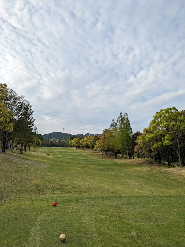 Seven Million Country Club - Photo 2