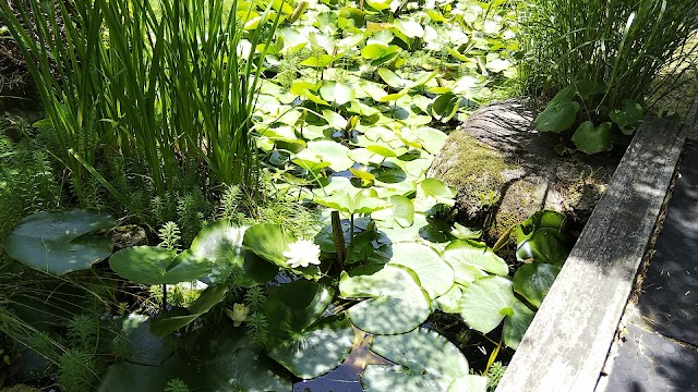 Seven Million Country Club - Photo 7