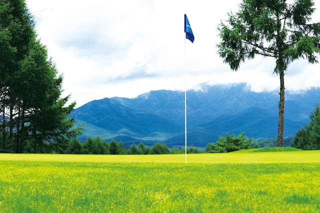 Royal Blue Golf Resort - Photo 8