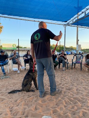חוות הכלבים של דרור - פנסיון כלבים | קורס אילוף | כלבנות טיפולית