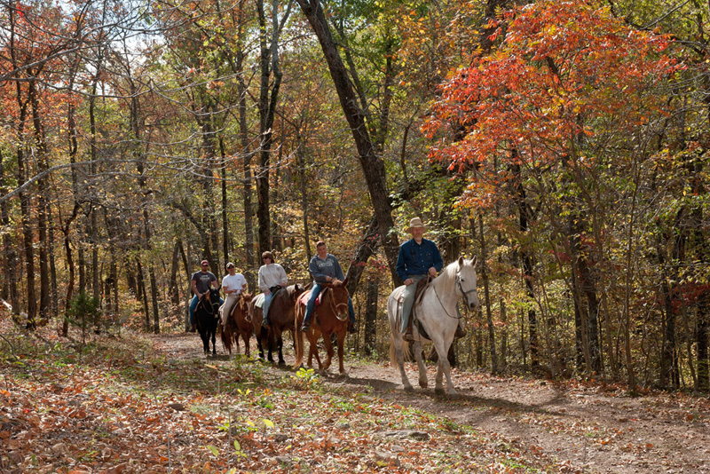 Rimrock Cove Ranch - Photo 1