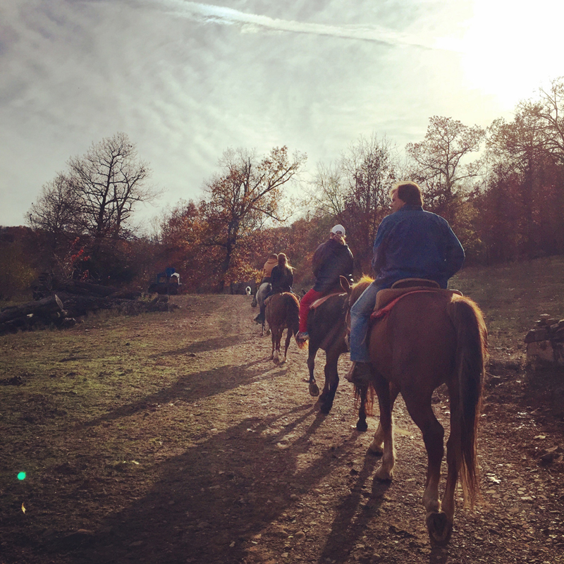 Rimrock Cove Ranch - Photo 6