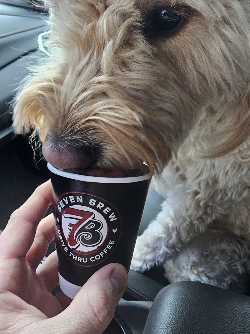 7 Brew Coffee photo 4