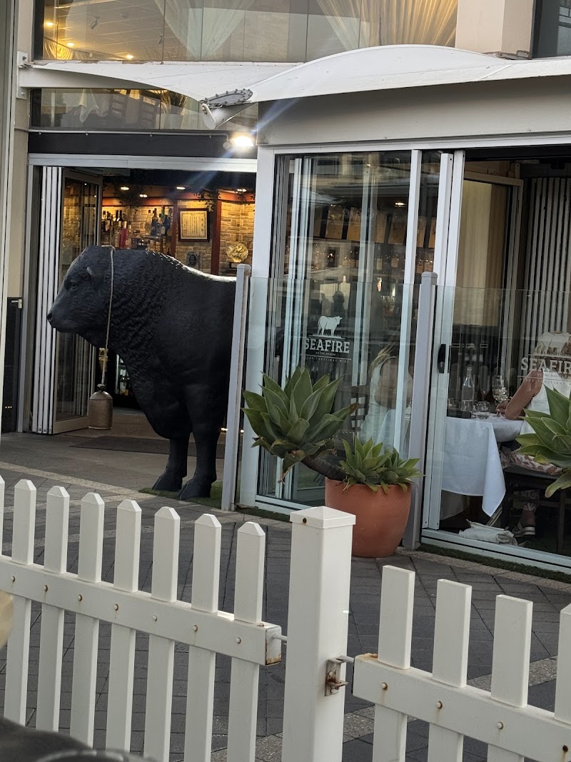 Seafire on the Marina