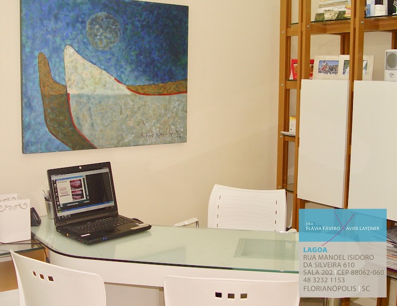 Dra. Flávia Fávero Xavier Laydner - foto 3
