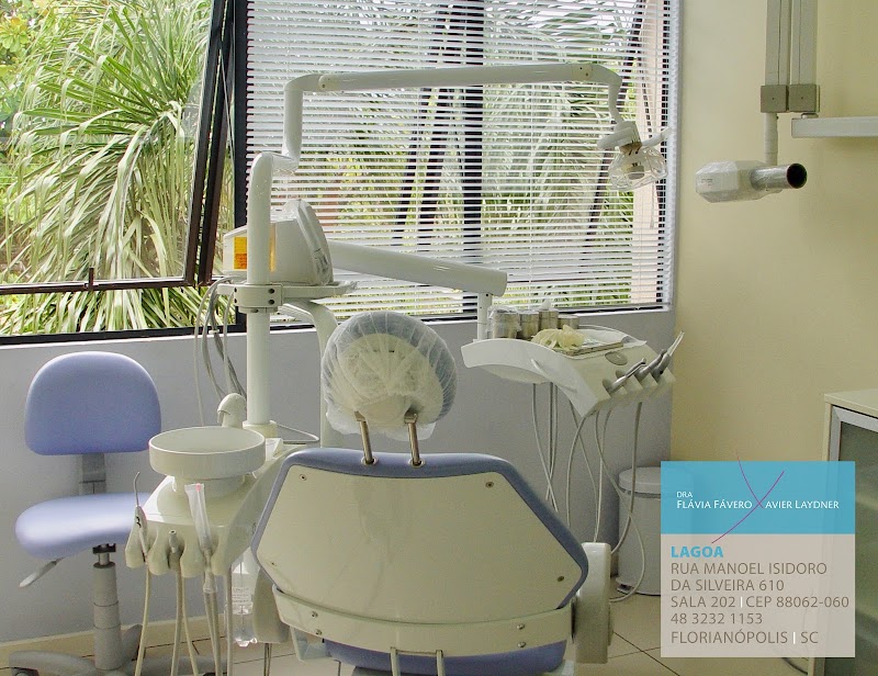 Dra. Flávia Fávero Xavier Laydner - foto 2